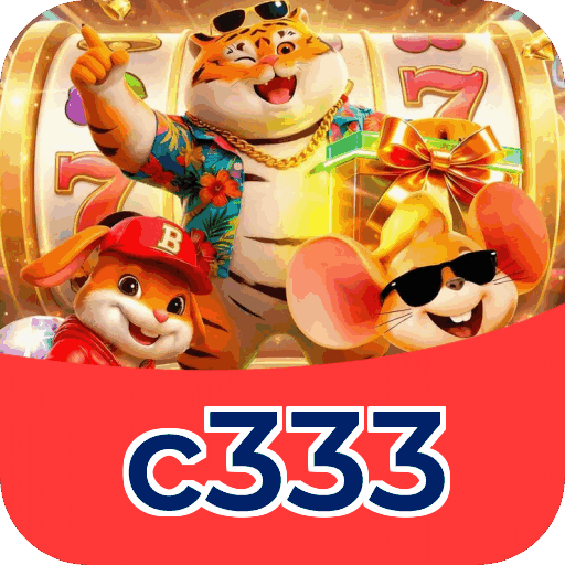 Interface c333